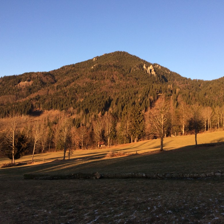 Ohne Schnee: Sieht so eine Winterwanderung aus?