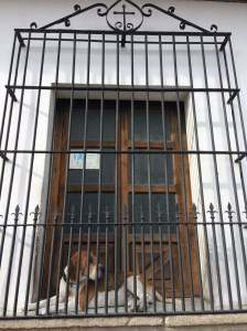Fenster mit Gitter in Antigua Guatemala als Siesta-Platz