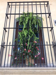 Fenster mit Gitter in Antigua Guatemala als Balkon